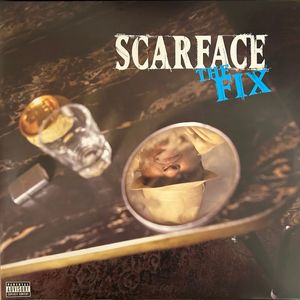 The Fix cover