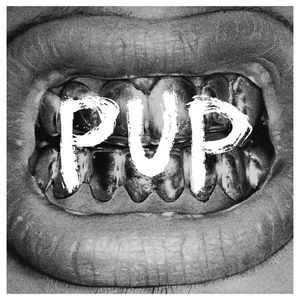 Pup cover