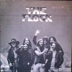 The Flock cover