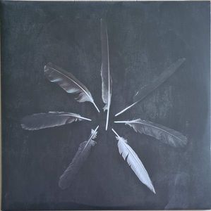 Dust And Disquiet by Caspian