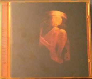 Nothing Safe by Alice In Chains