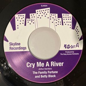 Cry Me A River / Shock Value cover