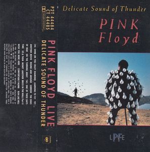 Pink Floyd – Delicate Sound Of Thunder