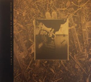 Pixies – Come On Pilgrim... It's Surfer Rosa