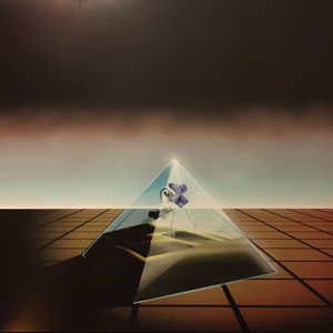 Visions Of A SIC World cover