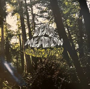 Dead Meadow – Old Growth