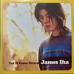 Let It Come Down by James Iha