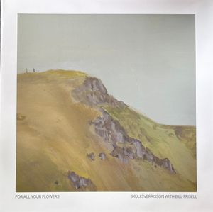 For All Your Flowers by Skúli Sverrisson With  Bill Frisell