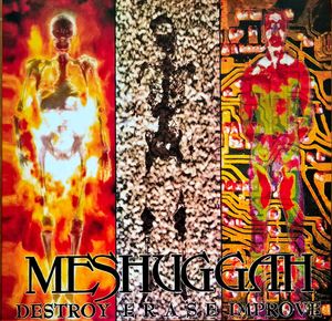Meshuggah – Destroy Erase Improve
