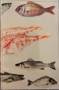 Barbounia cover