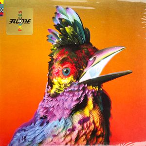 Flume – Palaces
