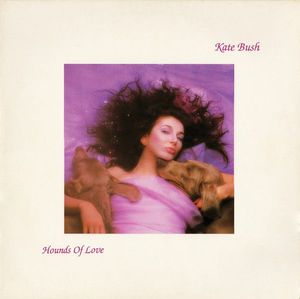 Hounds Of Love cover