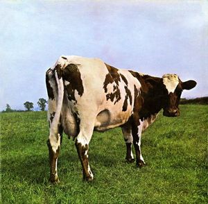 Atom Heart Mother by Pink Floyd