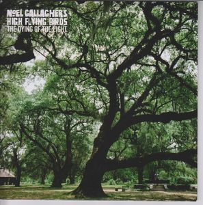 Noel Gallagher's High Flying Birds – The Dying Of The Light