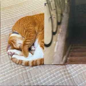 Today I Laid Down cover