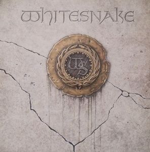 Whitesnake cover
