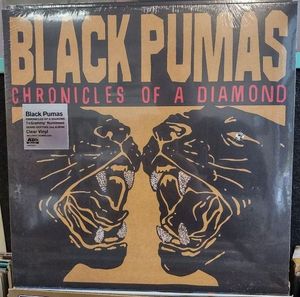 Chronicles Of A Diamond by Black Pumas
