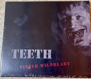 Teeth cover