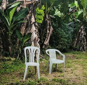 Debí Tirar Más Fotos cover