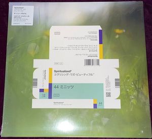 Everything Was Beautiful cover