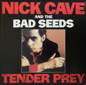 Tender Prey cover