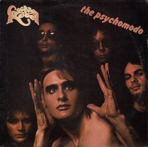 The Psychomodo cover