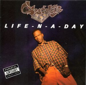 Life-N-A-Day cover