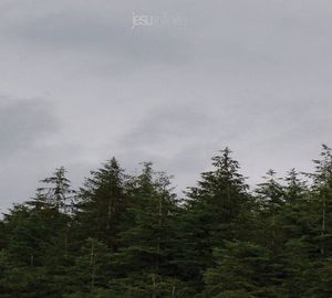 Infinity by Jesu