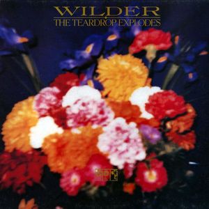 Wilder cover