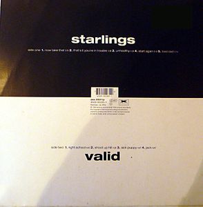 Starlings – Valid