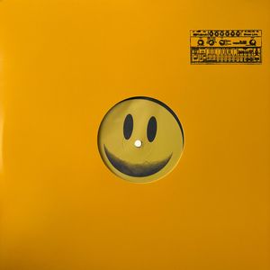 303 Shades Of Acid cover