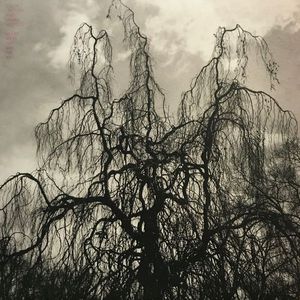 Never Were The Way She Was by Colin Stetson And  Sarah Neufeld