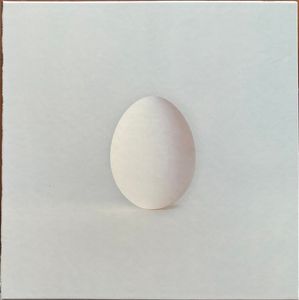 A Ghost Is Born cover