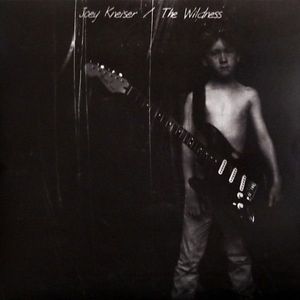 The Wildness cover