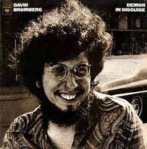 David Bromberg – Demon In Disguise