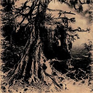 Wisdom Through Agony Into Illumination And Lunacy cover