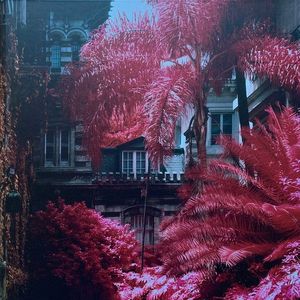 Everything Not Saved Will Be Lost cover