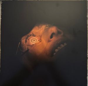 Exhumed – Anatomy Is Destiny