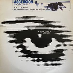 For A Lifetime cover