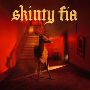 Skinty Fia cover
