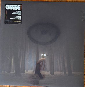 Geese – Projector