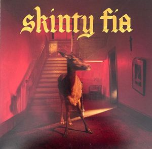 Skinty Fia cover