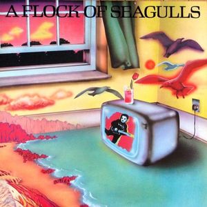 A Flock Of Seagulls cover