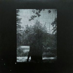Ruins cover