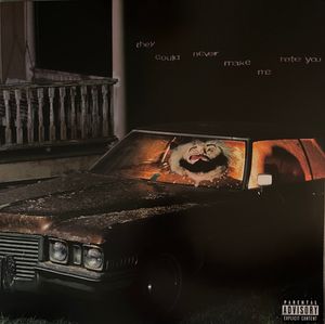 They Could Never Make Me Hate You cover