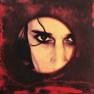 Distorted Lullabies cover