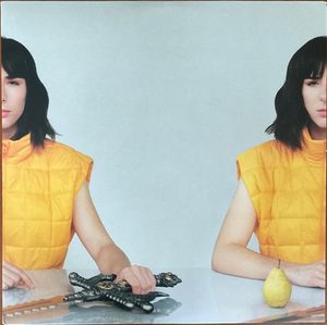 Medium Plaisir cover