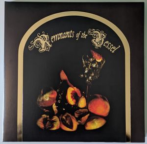 Remnants Of The Vessel cover