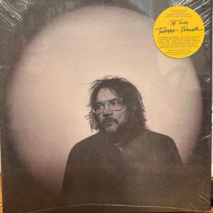 Twilight Override cover