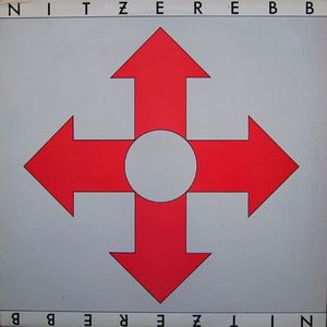 Isnt It Funny How Your Body Works by Nitzer Ebb